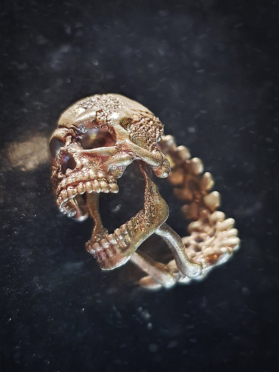 ARGENTGLEAMsilver925 × Brass skull Ring ScreamerSkullRing054032x3024ha